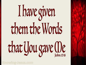 John 17:8